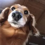 嵐☆るー