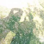 はまよし。の画像