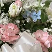 こだま421の画像