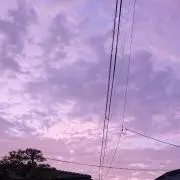 ともの画像