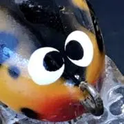 バルサ50◉◉の画像