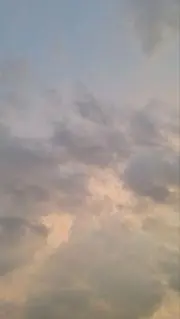 でこいの画像