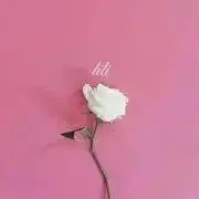 ナナの画像