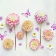 Yumm…A✩の画像