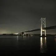 ノコノコの画像