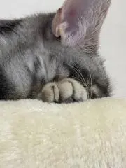 ぬ ※プロフ一読推奨の画像