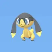 とんぱちの画像