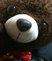 とげとげの画像