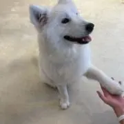 花晴の画像