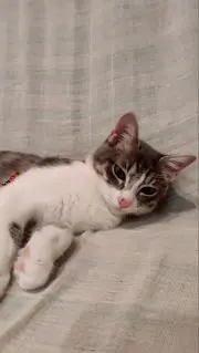 ゆちみんの画像