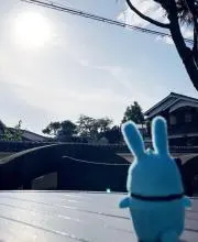 ゆきの画像