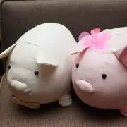A'sの画像