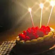 やまぐちめだかの画像