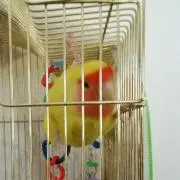 るかるか«プロフィールをご覧くださいm»