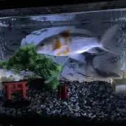 非喫煙者の画像
