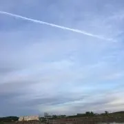 チェリー