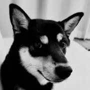 チエの画像