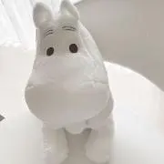 あずきの画像