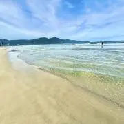 ゆゆ☆の画像