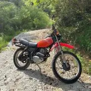 シン