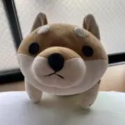 ルカ
