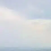 あんぱんの画像