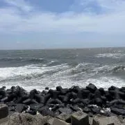 トシ