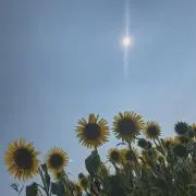 24時間以内発送‼️即購入OKです♪の画像