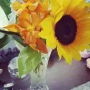 Aoi＊ ◇プロフ必読願います◇の画像