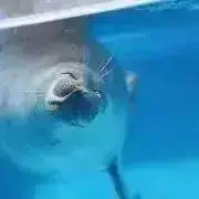 ゆきな☃︎の画像
