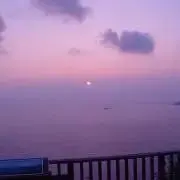 レモナの画像