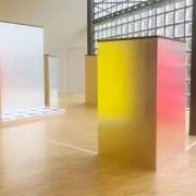 yの画像