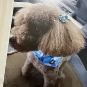 のっくんの画像
