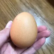 レブロン