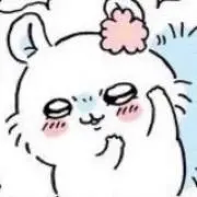 mochi