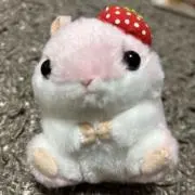 はむの画像