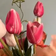 りりの画像