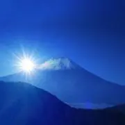うたたねこ