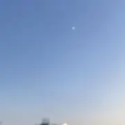 もちの画像