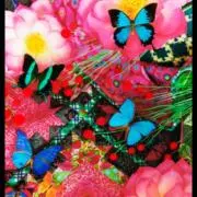 Candy**の画像