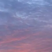 れいの画像