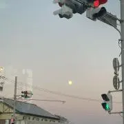 Rちゃんの画像