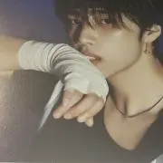 サヤの画像