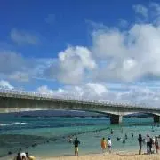 たけけの画像