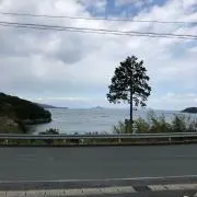 奈々渡邊