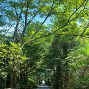 とっちー☆値段交渉可☆の画像