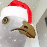 しらの