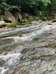 とっとの画像