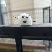 れおんバークリー