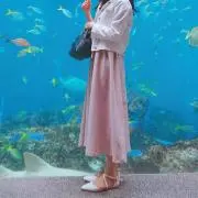 ぽん
